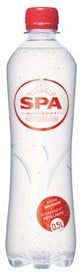 Spa intense (barisart) pet 24 x 0,5 l  ST           