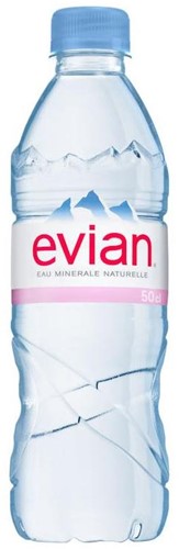 Evian pet 24 x 0,5 l    ST                          