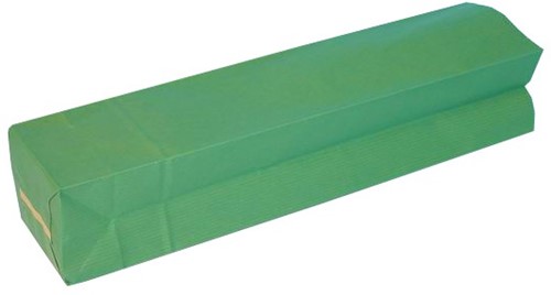Depa wijnfleszak groen pak 10 stuks               