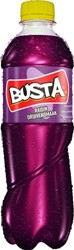 Busta grape pet 12 x 0,5 l
