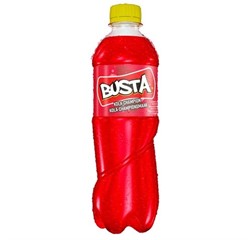 Busta kola champion pet 12 x 0,5 l