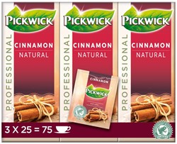 Pickwick professioneel kaneel doos 3 x 25 st 