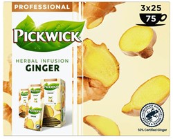 Pickwick professioneel ginger doos 3 x 25 st